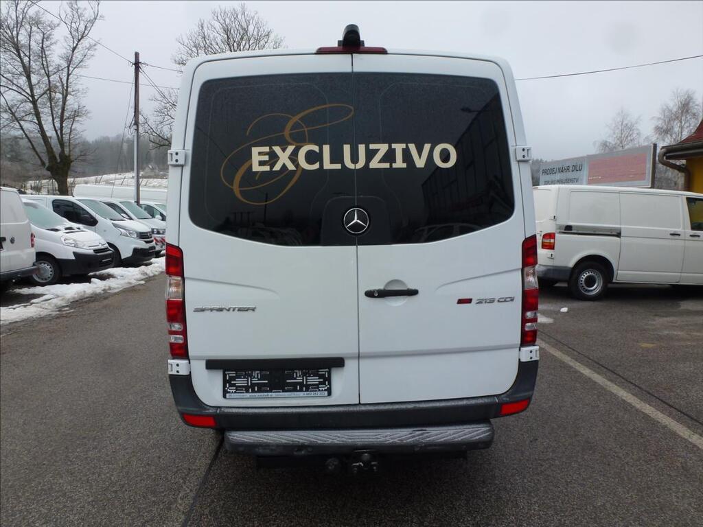Mercedes-Benz Sprinter 10