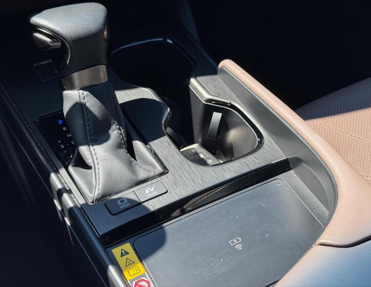 Lexus ES 300h 20