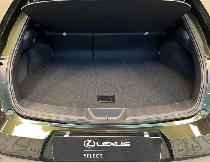 Lexus UX 300h 9