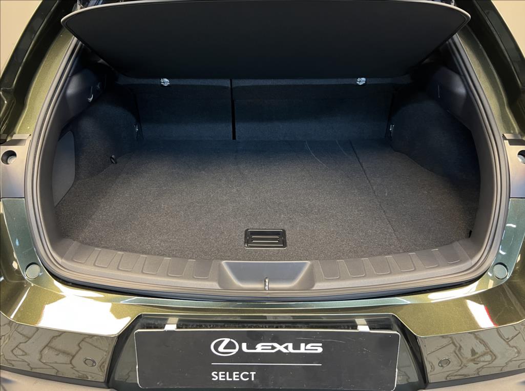 Lexus UX 300h