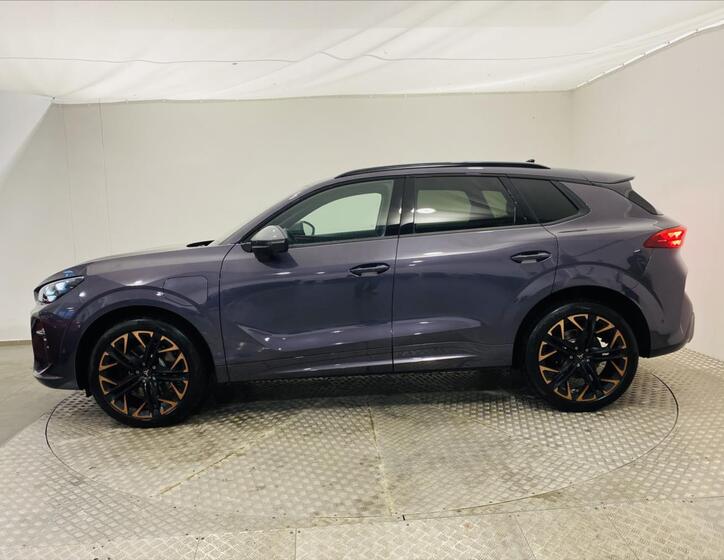 Cupra Terramar 3