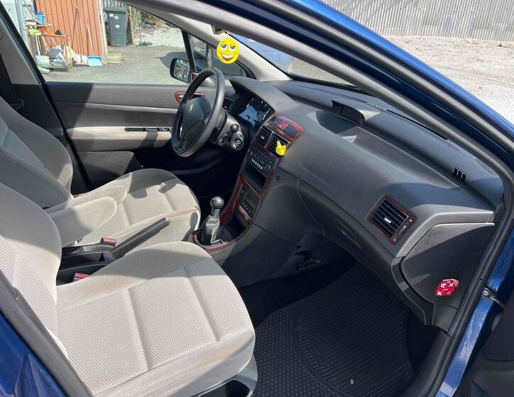 Peugeot 307 10