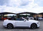 Ford Mustang 14