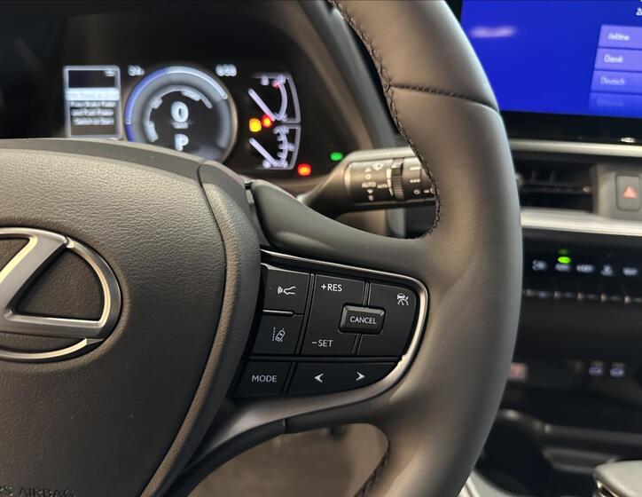 Lexus UX 250h 13