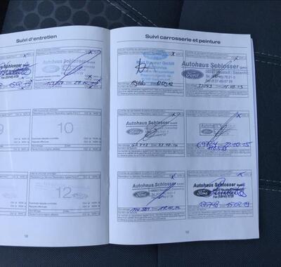 Ford Fiesta 13