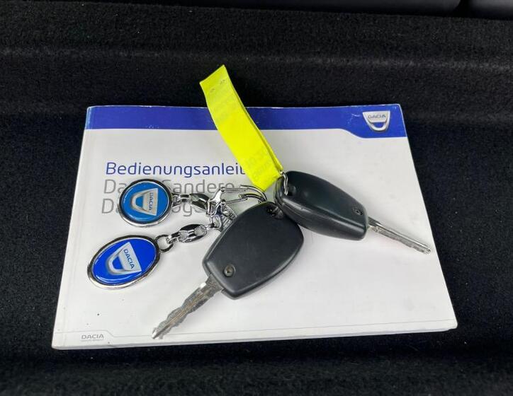 Dacia Sandero 31