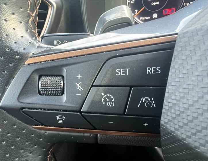 Cupra Formentor 19
