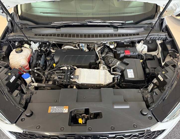 Ford Edge 32