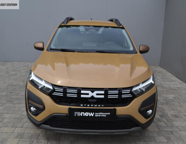 Dacia Sandero 49