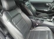 Ford Mustang 13
