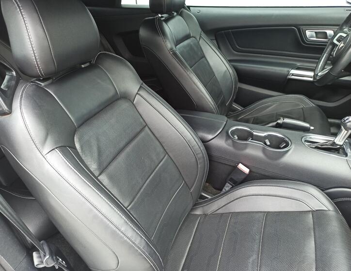 Ford Mustang 13
