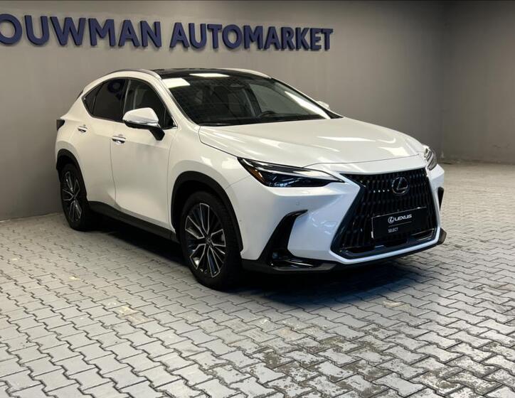 Lexus NX 350h 13