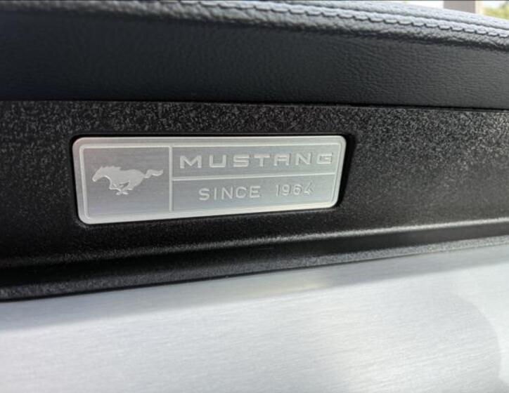Ford Mustang 21