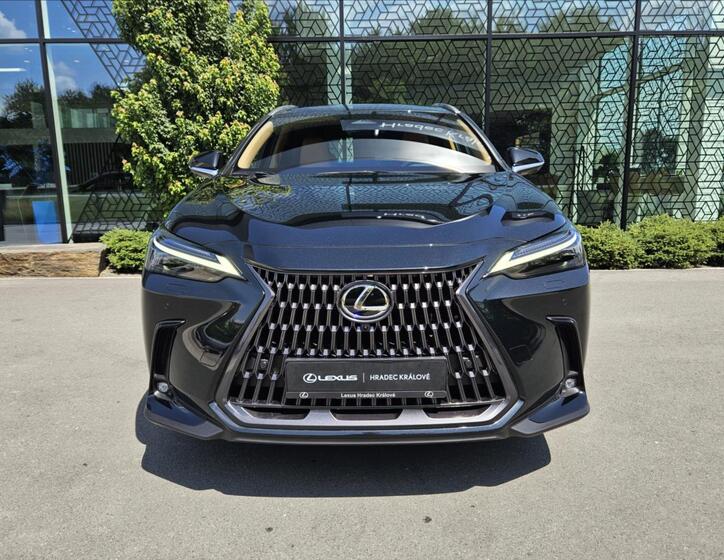 Lexus NX 450h plus 5