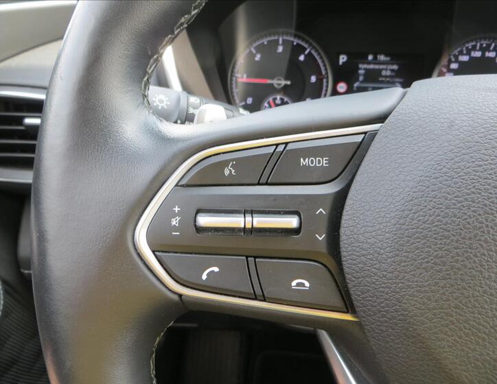 Hyundai Santa Fe 18