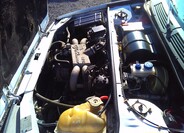 Alfa Romeo 33 19