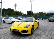 Porsche Cayman 2