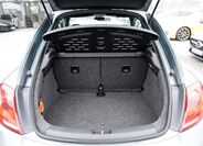 Volkswagen Beetle 12