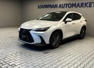 Lexus NX 350h 1