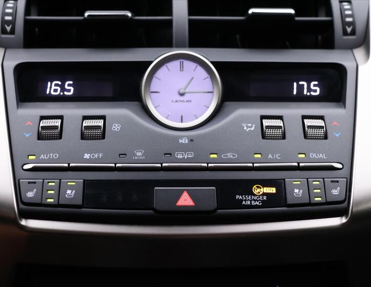 Lexus NX 300h 25