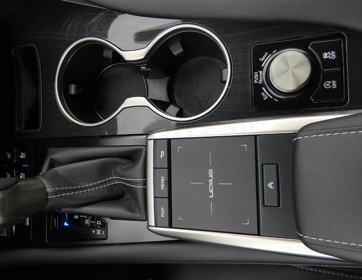 Lexus RX 300 18