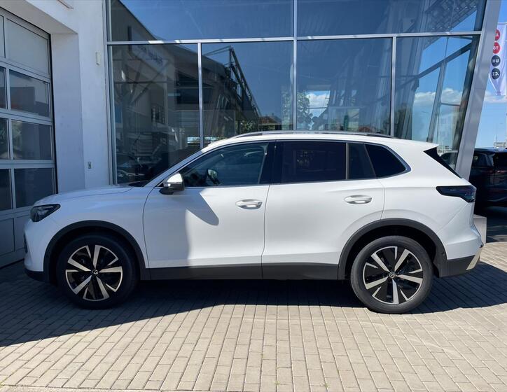 Volkswagen Tiguan 8