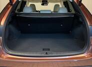 Lexus RX 450h plus 9