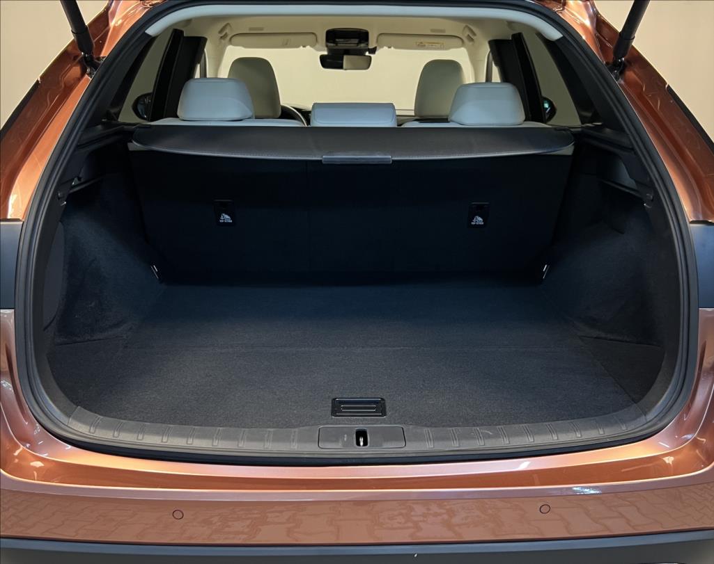 Lexus RX 450h plus