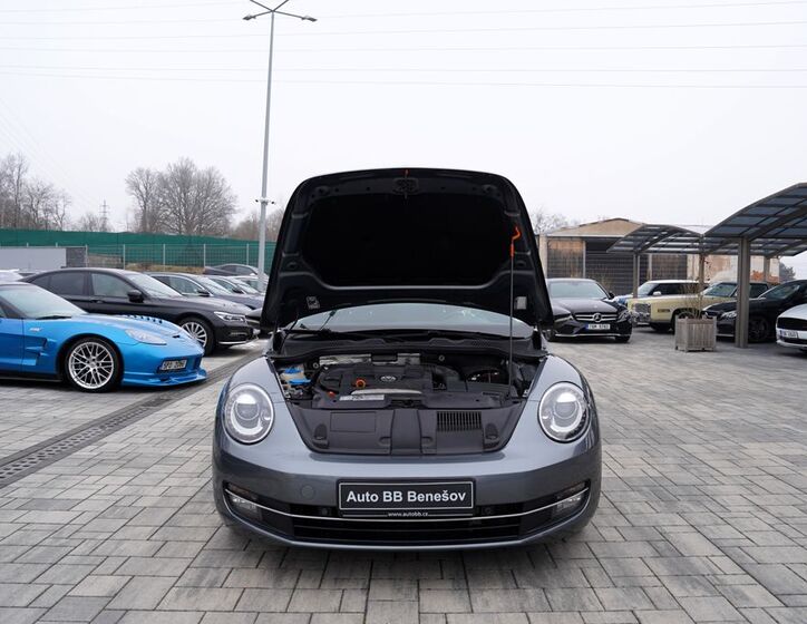 Volkswagen Beetle 9