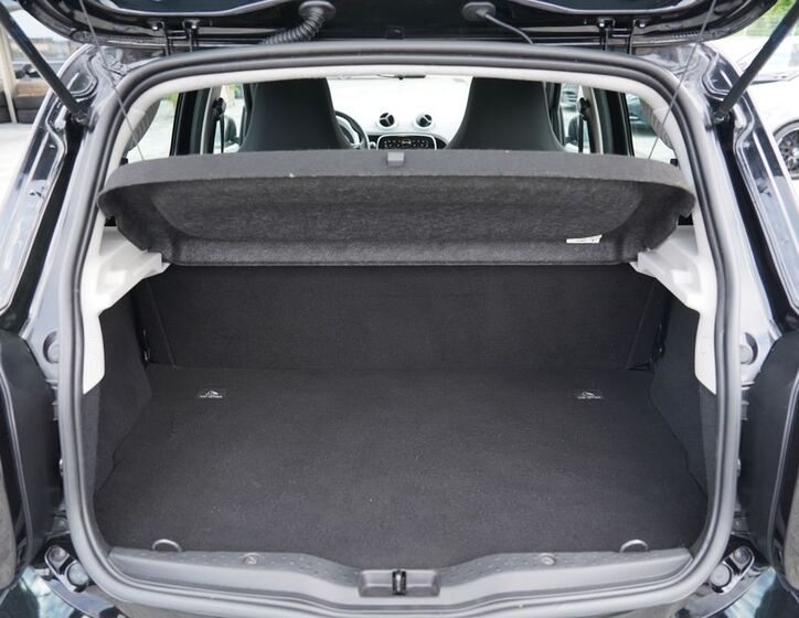 Smart Forfour 12