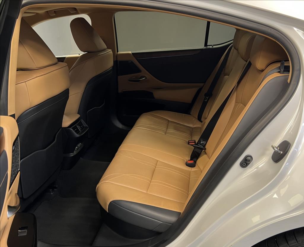 Lexus ES 300h