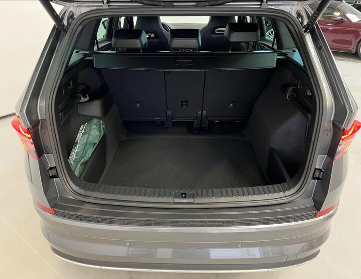 Škoda Kodiaq 30