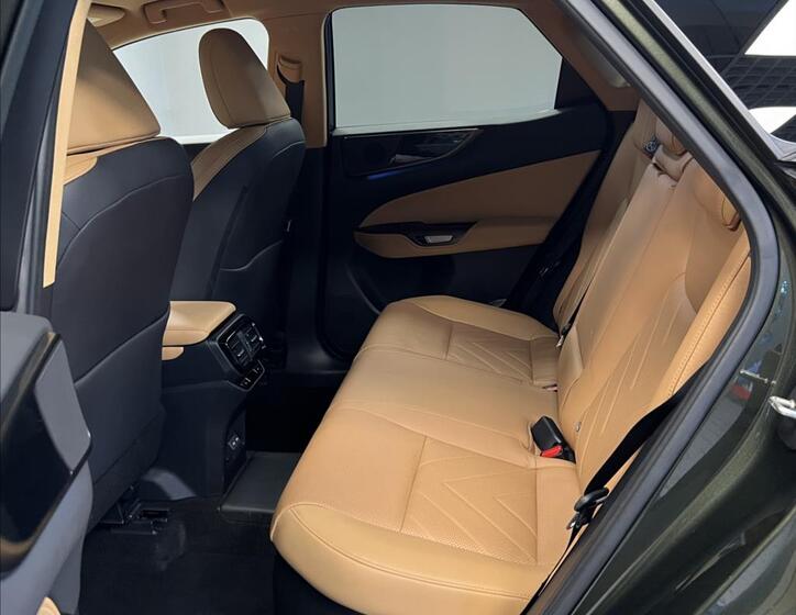 Lexus NX 450h plus 8