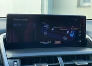 Lexus NX 300h 17
