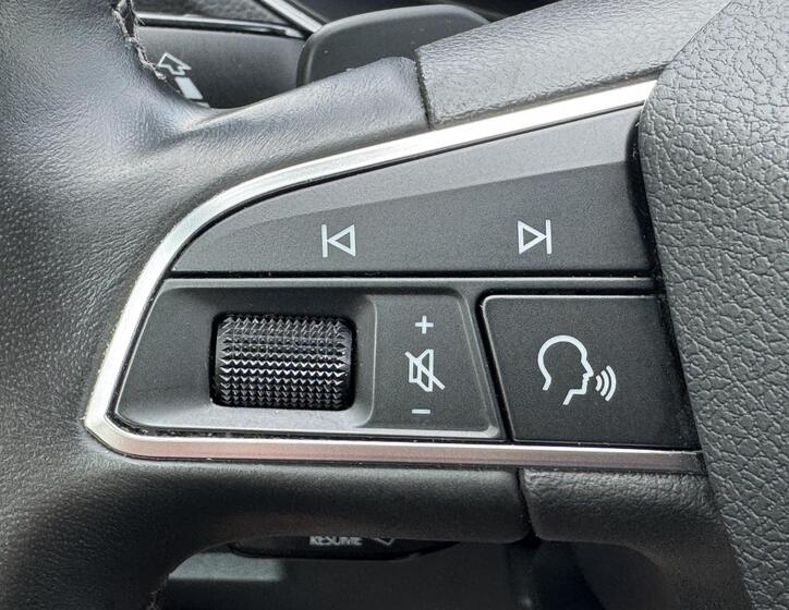 Seat Tarraco 24
