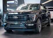 Ford F-150 1