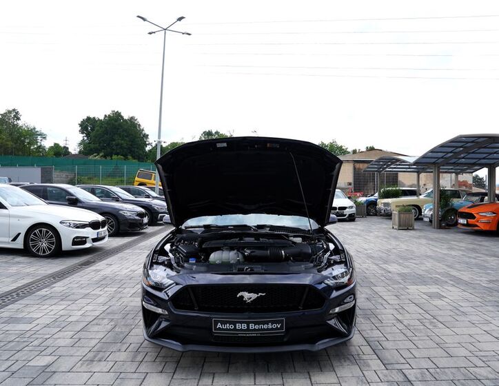 Ford Mustang 9