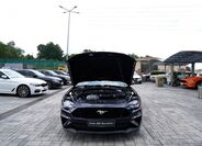 Ford Mustang 9