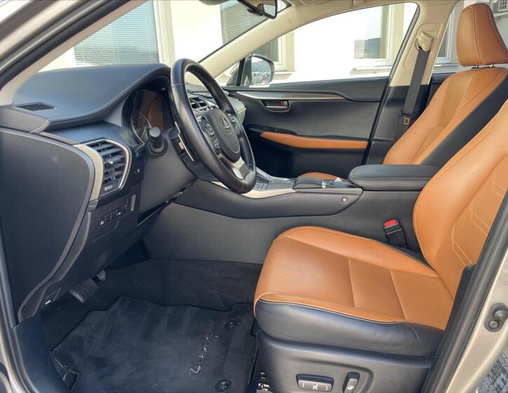 Lexus NX 300h 10