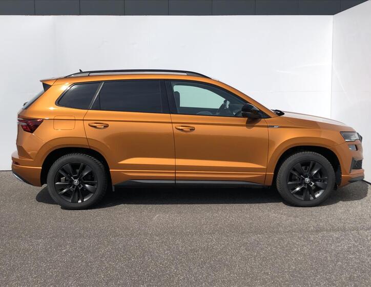 Škoda Karoq 10