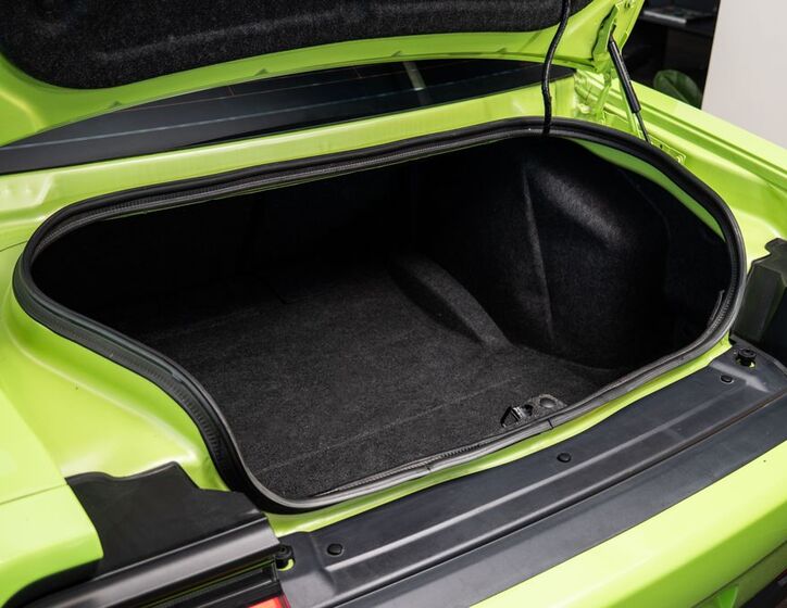Dodge Challenger 18