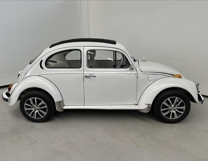 Volkswagen Beetle 3