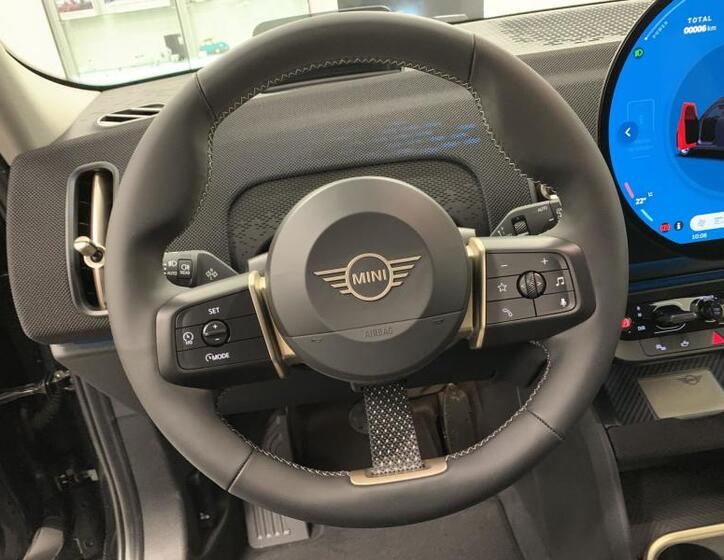 Mini Countryman 10