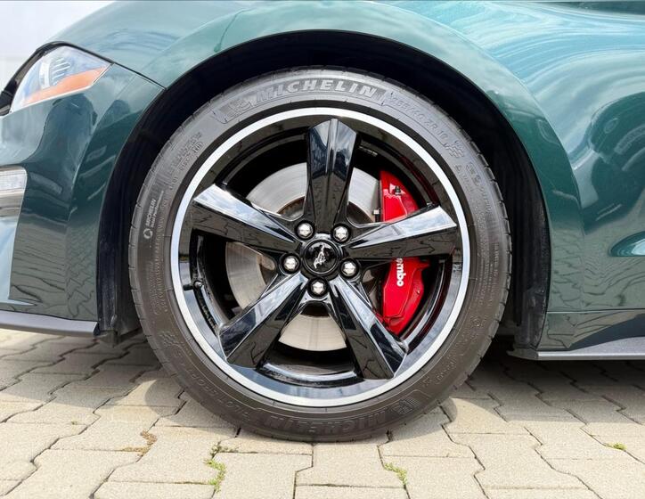 Ford Mustang 10