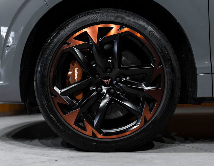 Cupra Ostatní 6