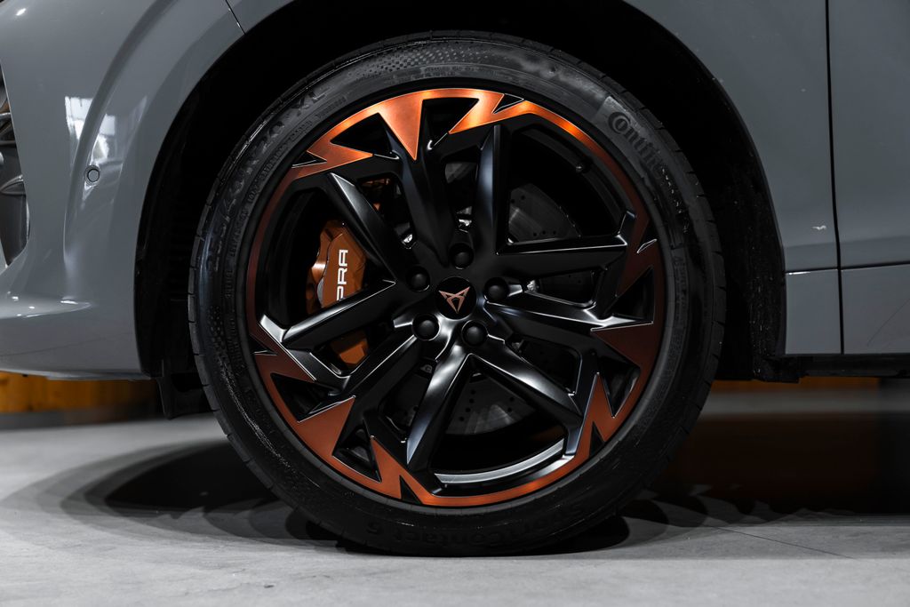 Cupra Ostatní