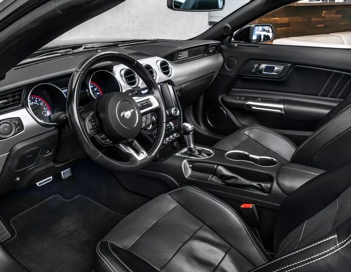 Ford Mustang 13