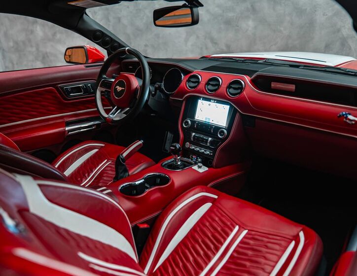Ford Mustang 29