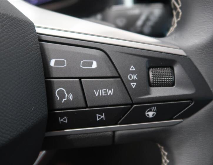 Seat Ateca 20