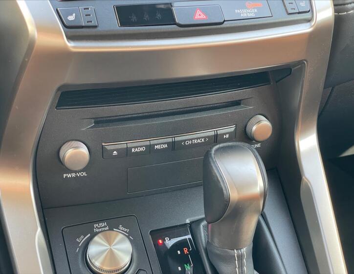 Lexus NX 300h 19